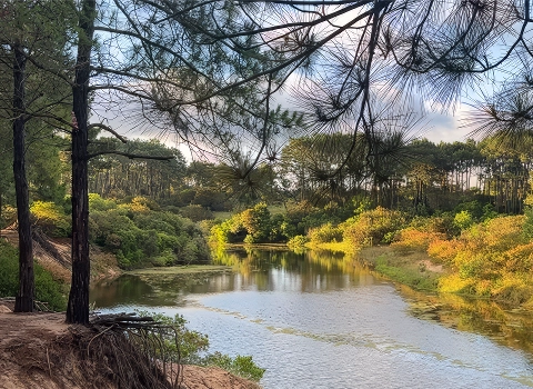 Tips y actividades, Chihuahua, Punta del Este, Uruguay